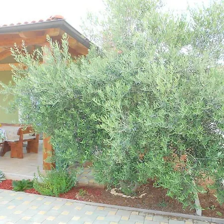 Hébergement de vacances Holiday Tanja